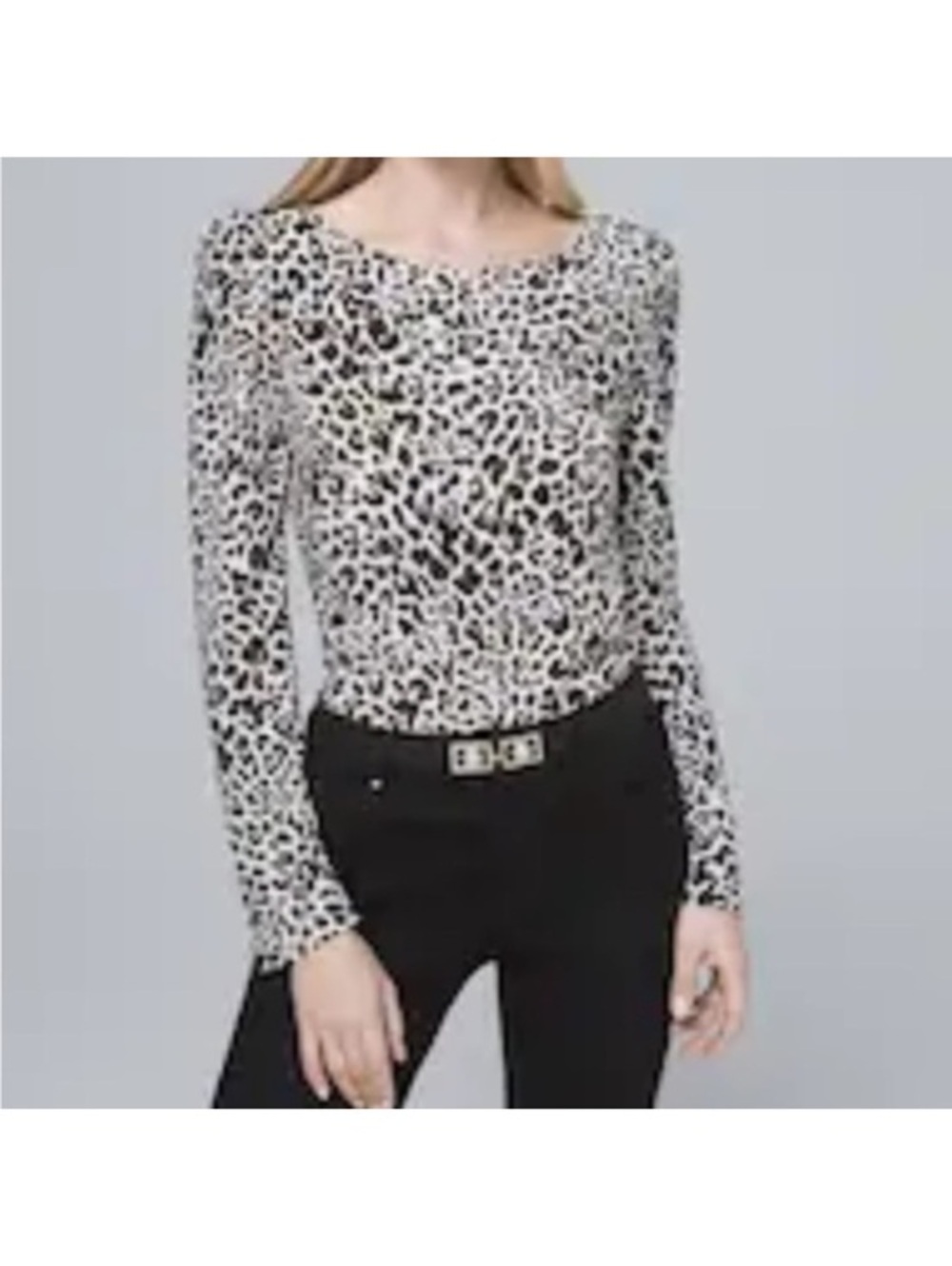 Banana Republic Long Sleeve Leopard Print Top